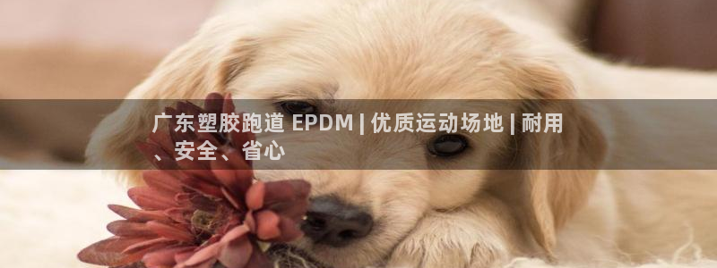 谈球吧体育官网在线入口：广东塑胶跑道 EPDM | 优质运动场地 | 耐用
、安全、省心