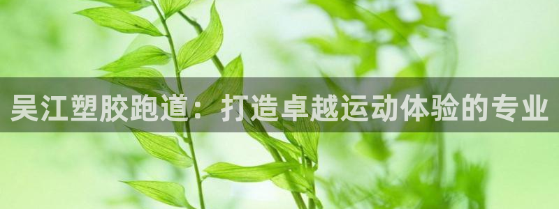 谈球吧app赛事分析：吴江塑胶跑道：打造卓越运动体验的专业