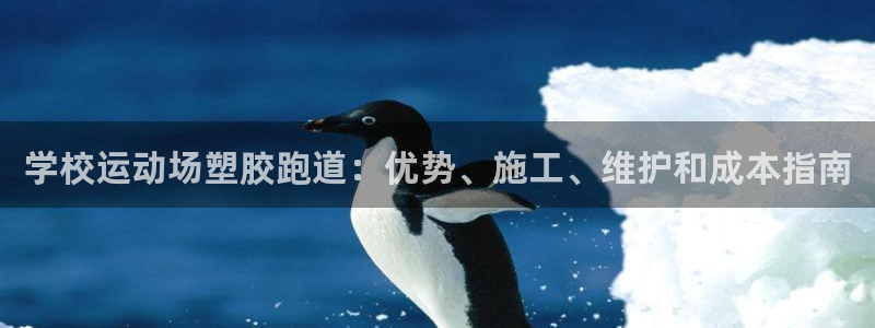 谈球吧体育赛事入口：学校运动场塑胶跑道：优势、施工、维护和成本指南