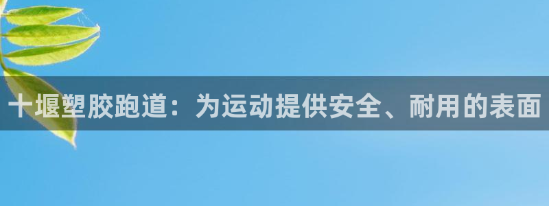 谈球吧官网在线入口免费观看视频网站：十堰塑胶跑道：为运动提供安全、耐用的表面