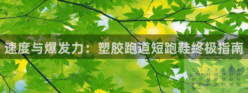 谈球吧app赛事分析报告怎么做：速度与爆发力：塑胶跑道短跑鞋终极指南