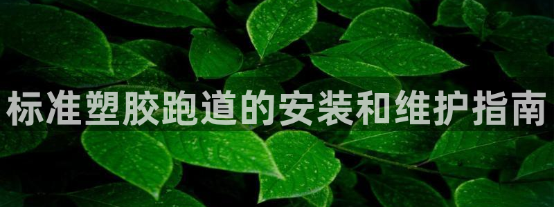 谈球吧娱乐app下载官网苹果：标准塑胶跑道的安装和维护指南