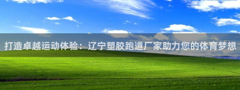 谈球吧app官网下载安卓：打造卓越运动体验：辽宁塑胶跑道厂家助力您的体育梦想