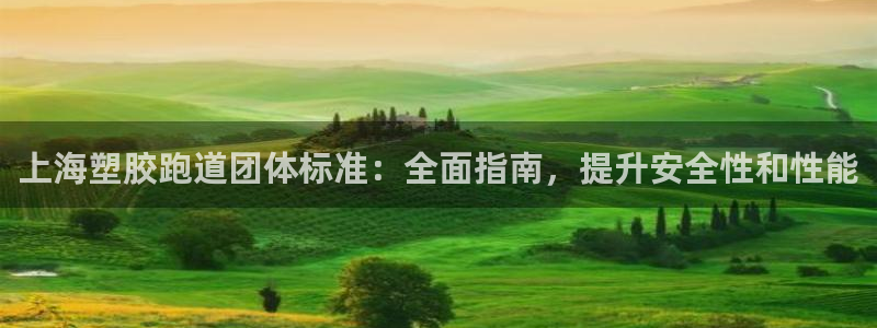 谈球吧体育app下载中心官网手机版：上海塑胶跑道团体标准：全面指南，提升安全性和性能