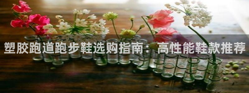 谈球吧怎么样?：塑胶跑道跑步鞋选购指南：高性能鞋款推荐