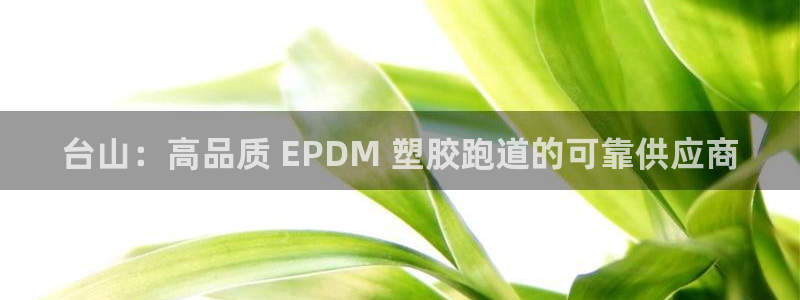 谈球吧体育app下载中心官方最新版：台山：高品质 E