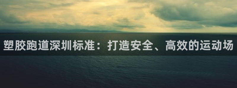 谈球吧不出款：塑胶跑道深圳标准：打造安全、高效的运动场