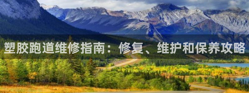 谈球吧体育app登陆不了：塑胶跑道维修指南：修复、维护和保养攻略