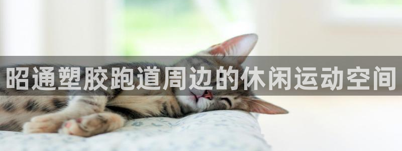 谈球吧是黑台子吗知乎:昭通塑胶跑道周边的休闲运动空间